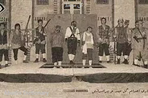 گل محمد